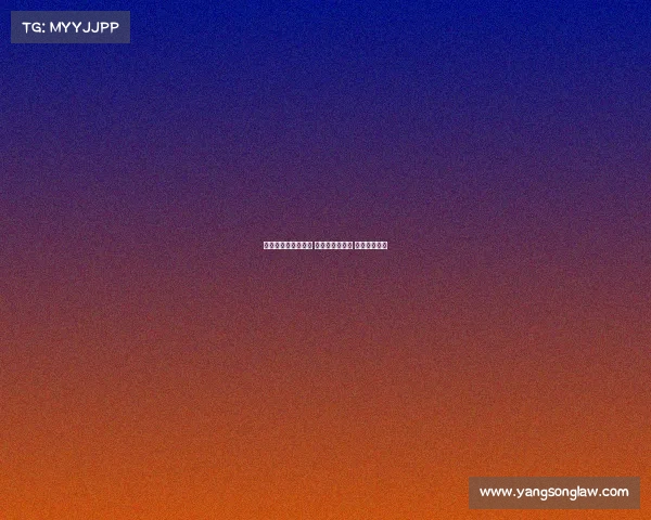 意甲与德甲同步启航 新赛季风云再起 球迷热情高涨