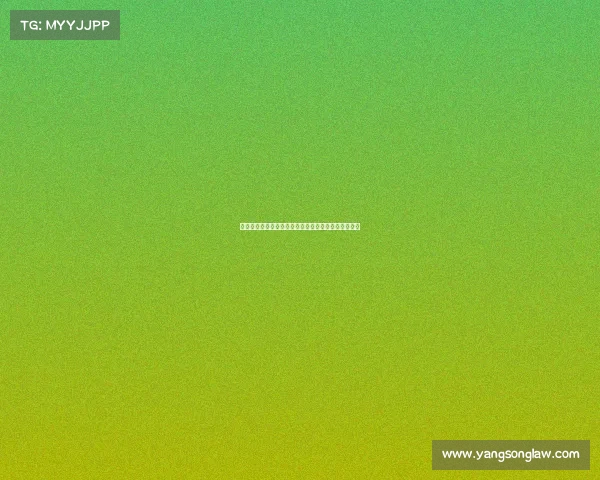 高尔夫球鞋的选择与保养技巧提升球场表现的必备装备