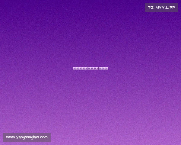 意甲与德甲同步启航 新赛季风云再起 球迷热情高涨